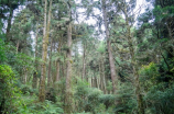 林远图与地球生物多样性保护